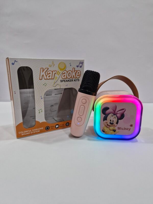 Karaoke Speaker Kits